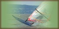 Surfen am Neusiedler See